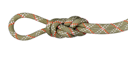 Mammut 9.5 Gym Classic Rope Grün 50000 mm 9,5 mm Polyamid 1 Stück(e)