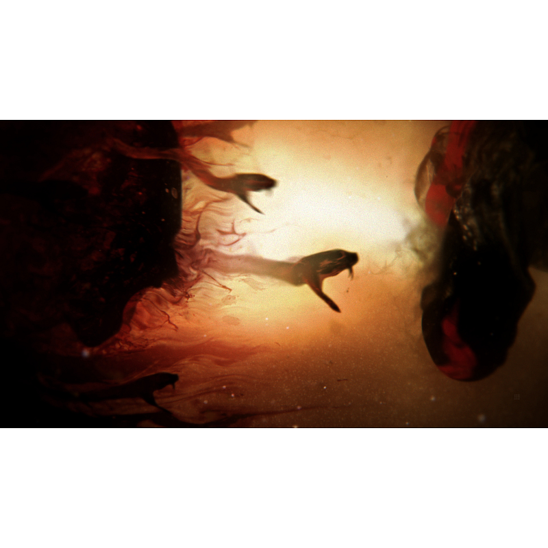 Sony Interactive Entertainment God of War : Ascension - Special Edition Speziell PlayStation 3