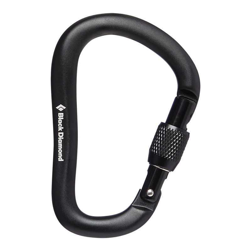 Black Diamond RockLock Verschlusskarabiner D-förmig Schwarz 1 Stück(e)