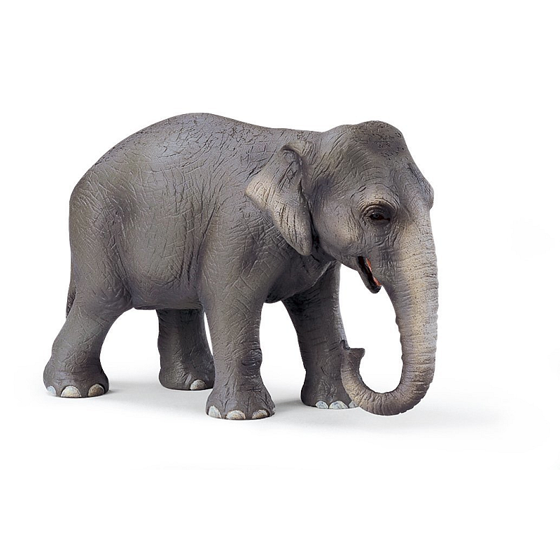 schleich Asiatische Elefantenkuh