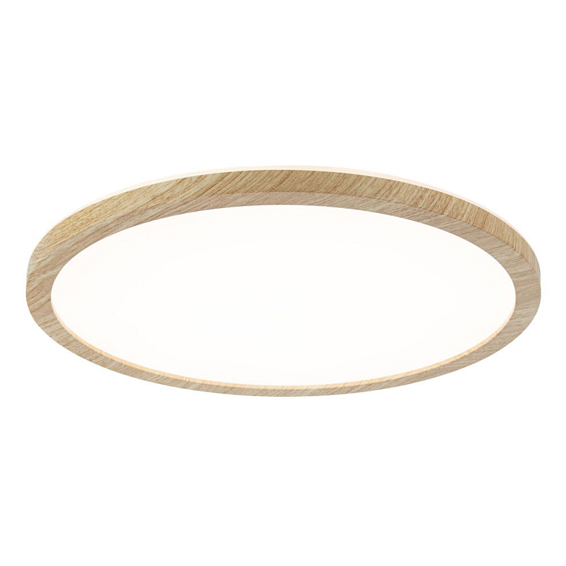 Paulmann 71028 Deckenbeleuchtung LED 19 W E