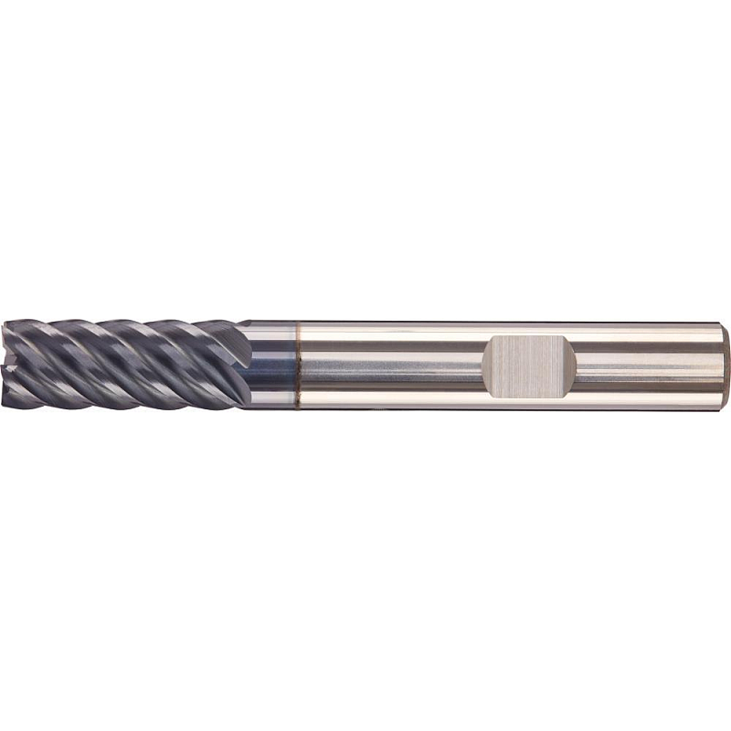 Fortis 4317784742085 Fräser
