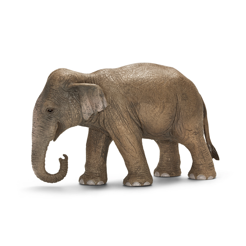 schleich WILD LIFE Asiatische Elefantenkuh