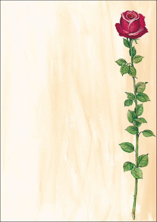 Sigel DP695 Kunstdruckpapier 25 Blätter