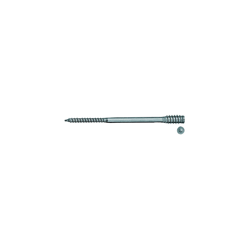 Fischer 59062 Schraube/Bolzen 100 mm 100 Stück(e)