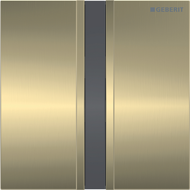 Geberit 116.026.QF.1 Ersatzteil für Toilettenspülung Spülplatte