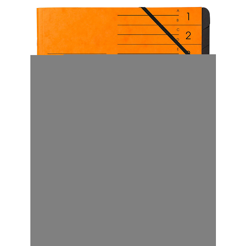 Exacompta 541204E Sammelmappe Karton Orange A4