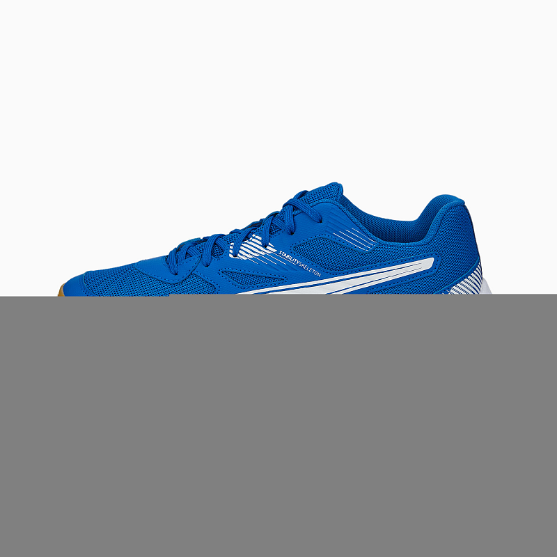 PUMA 106882_03_44.5 Teamsport-Schuh Handball Männlich