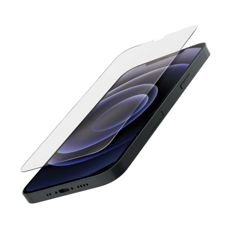 Quad Lock 313-065-6601 Display-/Rückseitenschutz für Smartphones Klare Bildschirmschutzfolie Apple 1 Stück(e)