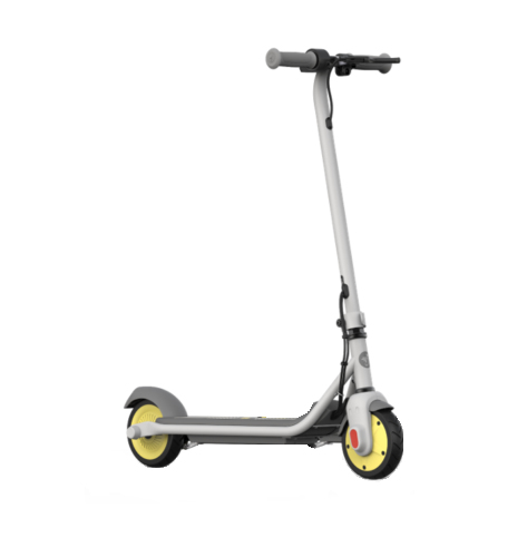 Ninebot by Segway ZING C8 Elektro-Kickroller Grau 16 km/h 2,5 Ah