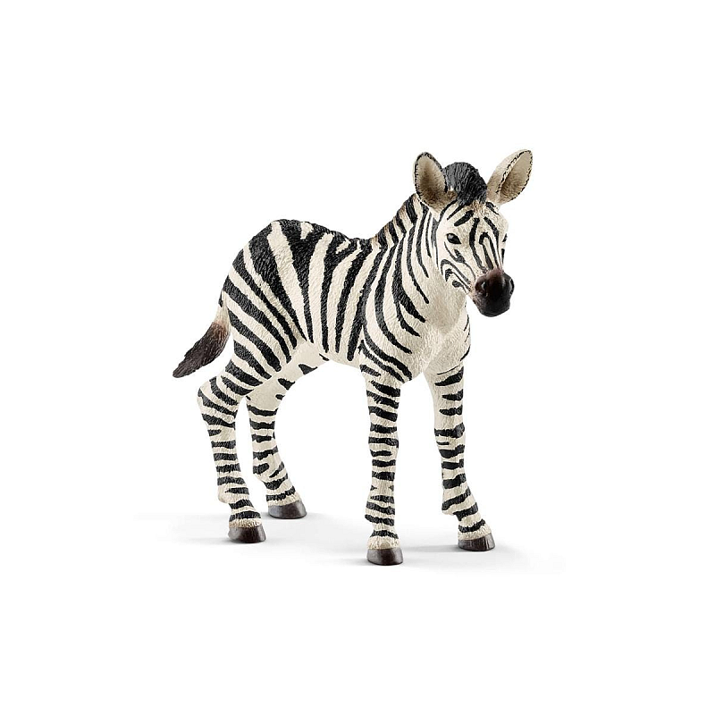 schleich WILD LIFE Zebra Fohlen