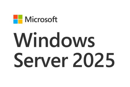 Microsoft OEM Windows Svr CAL 2025 ITA 1 CAL User Microsoft Volume Licensing (MVL) 1 Lizenz(en)