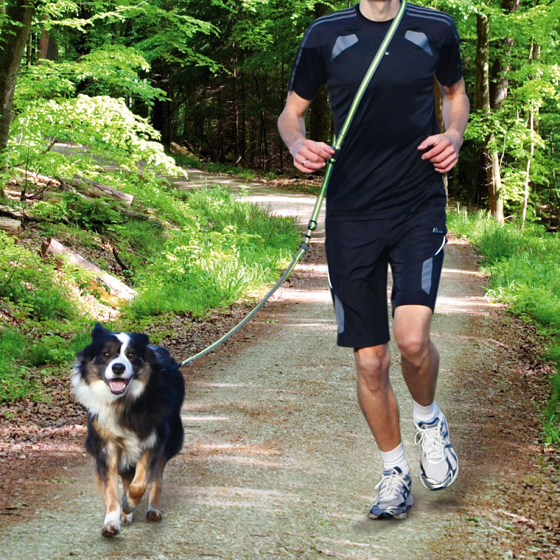 TRIXIE 12763 Hunde-/Katzenleine 1,8 m Grün, Grau Hund Trainingsleine