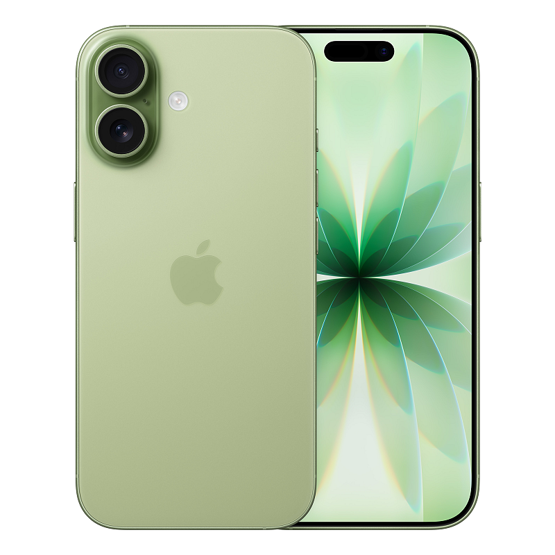 Apple iPhone 17 16 cm (6.3") Dual-SIM iOS 26 5G USB Typ-C 256 GB Salbei