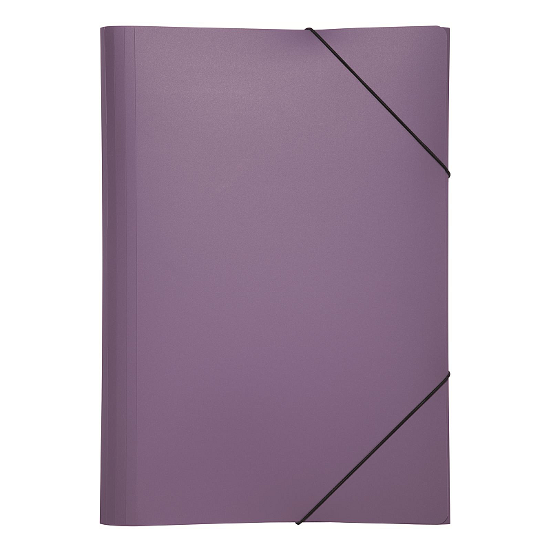 Pagna 21638-12 Sammelmappe Polypropylen (PP) Violett A3