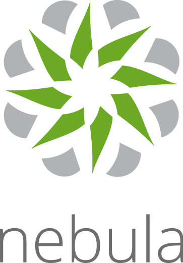 Zyxel LIC-NPRO-ZZ1Y00F Software-Lizenz/-Upgrade 1 Lizenz(en) 1 Jahr(e)