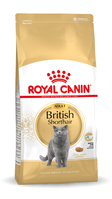 Royal Canin British Shorthair Adult Katzen-Trockenfutter 10 kg