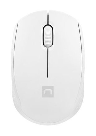 NATEC STORK Maus Haus Beidhändig RF Wireless + USB Type-A Optisch 1600 DPI