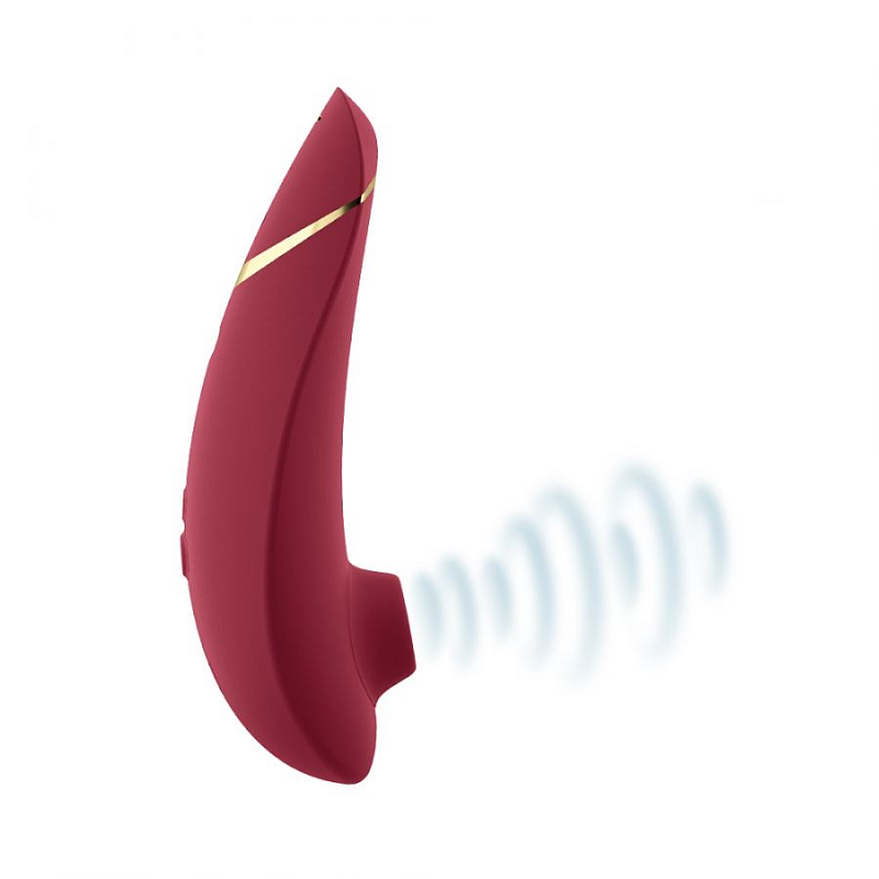 Womanizer Premium 2 Saugnapf-Vibrator