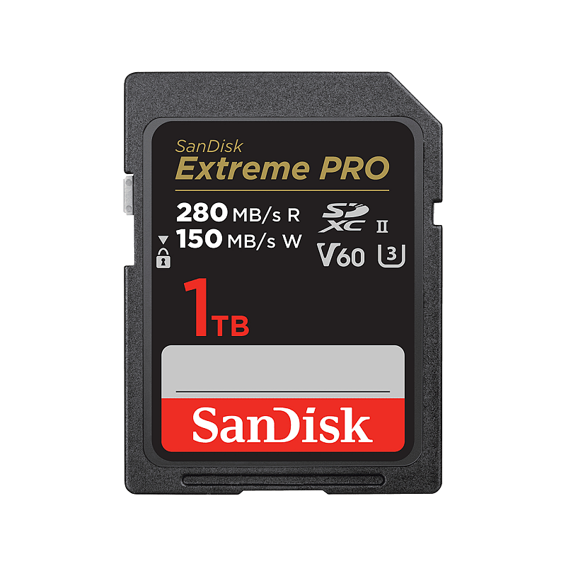 SanDisk SDSDXEP-1T00-GN4IN Speicherkarte 1 TB SDXC UHS-II Klasse 10