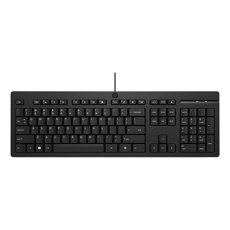 HP 125 Wired Keyboard (Bulk) Tastatur Büro USB Schwarz