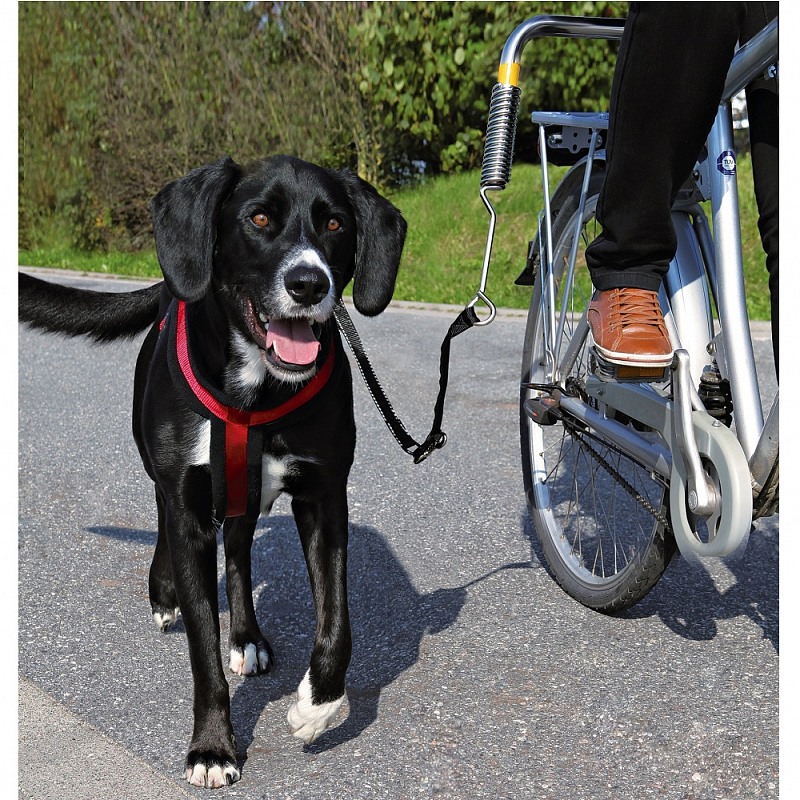 TRIXIE 1287 Hunde-/Katzenleine Schwarz, Silber Hund Freihändige Leine