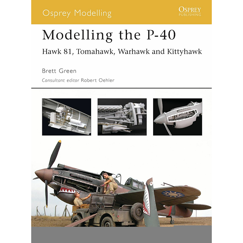 Modelling the P-40 Buch Englisch Taschenbuch 80 Seiten
