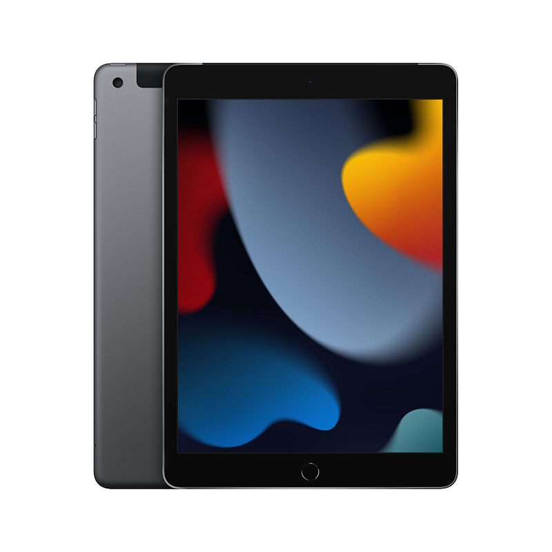 Apple iPad 4G LTE 256 GB 25,9 cm (10.2") Wi-Fi 5 (802.11ac) iPadOS 15 Grau