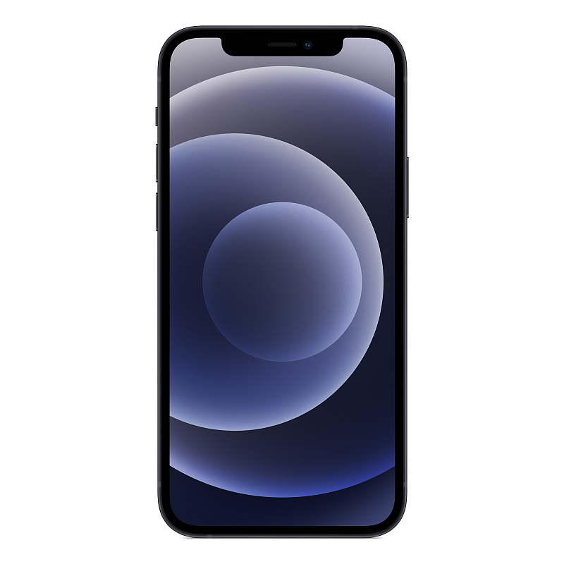 Apple iPhone 12 15,5 cm (6.1") Dual-SIM iOS 14 5G 64 GB Schwarz