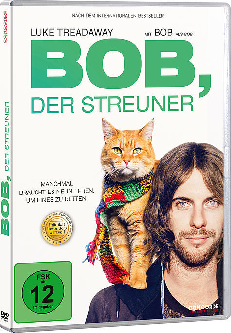 CONCORDE BOB, DER STREUNER