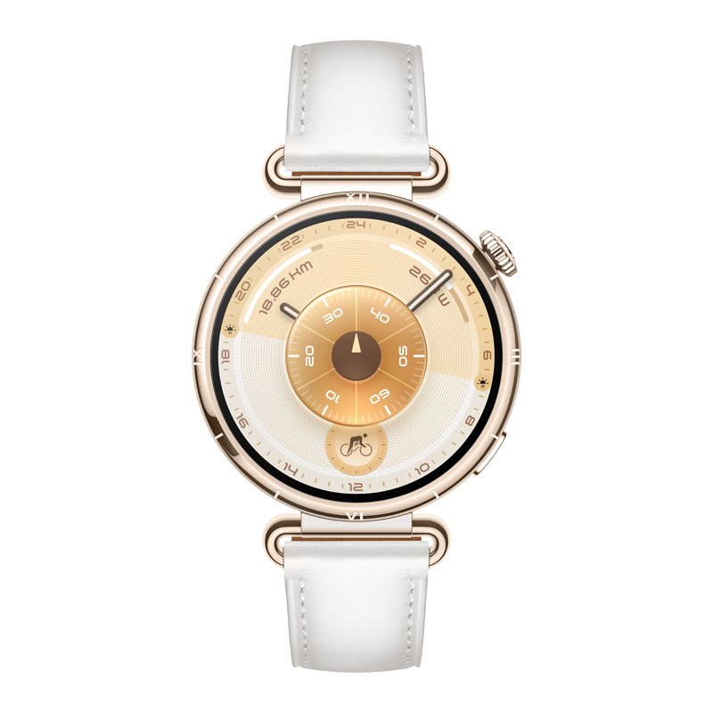 Huawei WATCH GT6 3,35 cm (1.32") AMOLED 41 mm Digital 466 x 466 Pixel Touchscreen Gold