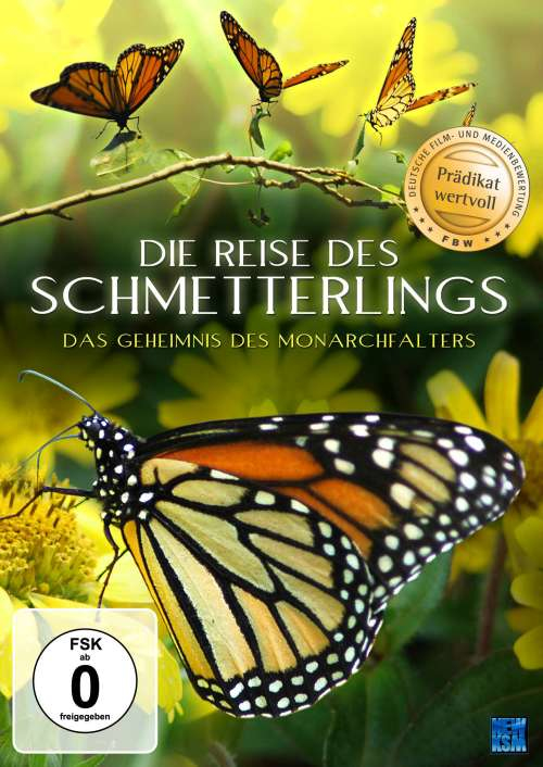 KSM GmbH K1013 Film/Video DVD Deutsch, Englisch, Französisch
