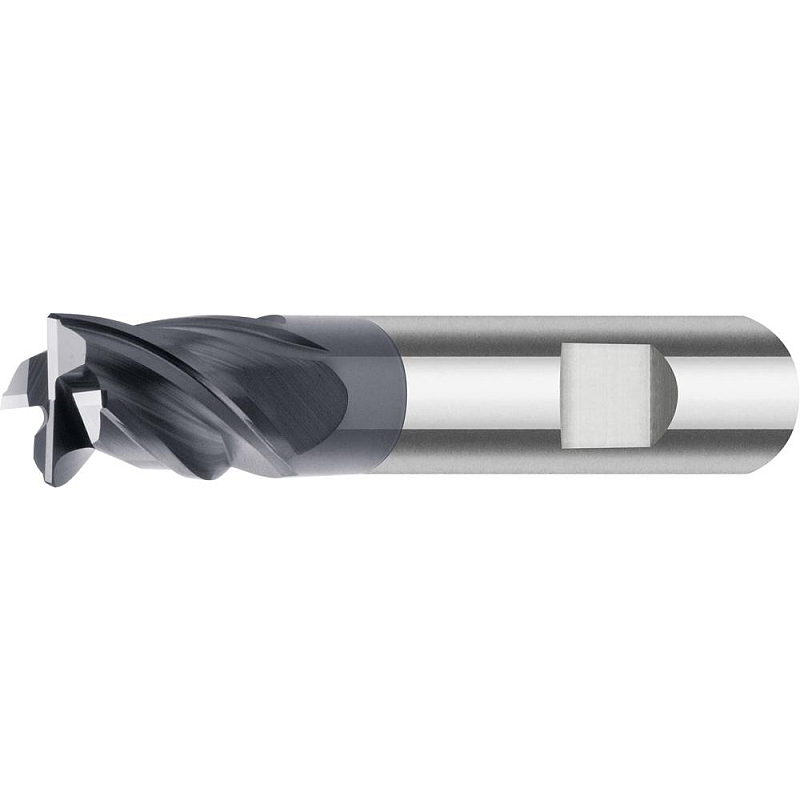 Fortis 4317784741231 Fräser