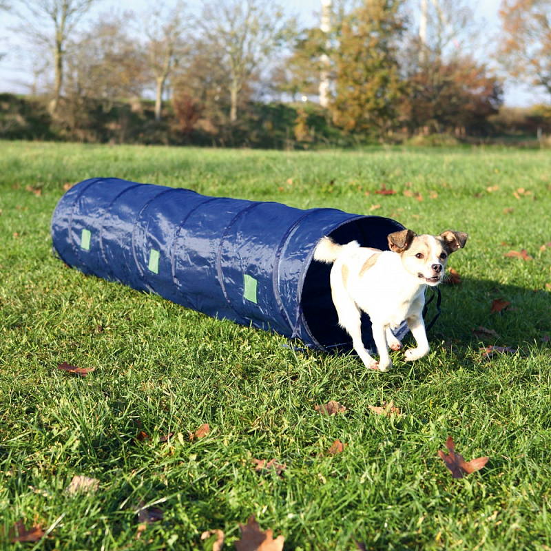 TRIXIE 3210 Agility-Ausrüstung für Hunde & Katzen 1 Stück(e) Blau Polyester Hund Agility-Tunnel