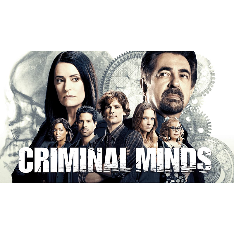 Disney Criminal Minds Season 4 DVD Englisch