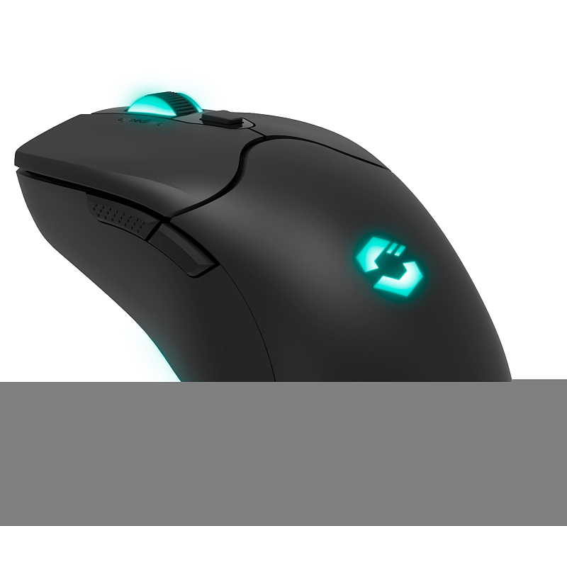 SPEEDLINK SL-680102-BK Maus Gaming USB Typ-A 4800 DPI