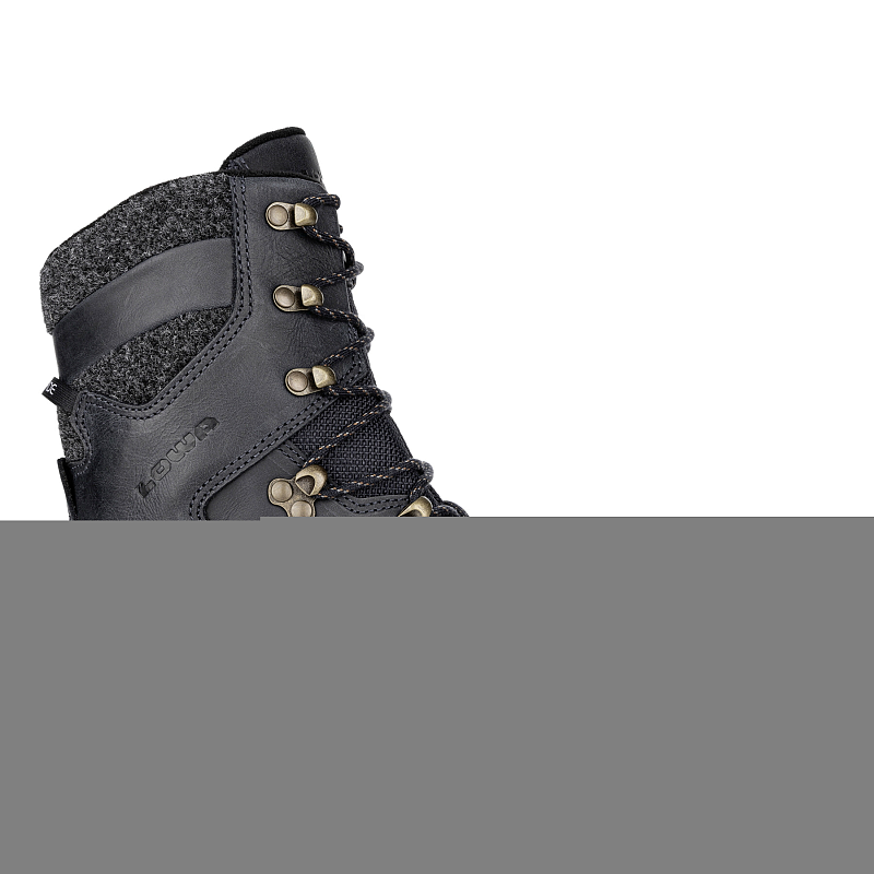 LOWA RENEGADE EVO ICE GTX Männlich Erwachsener Grau, Navy