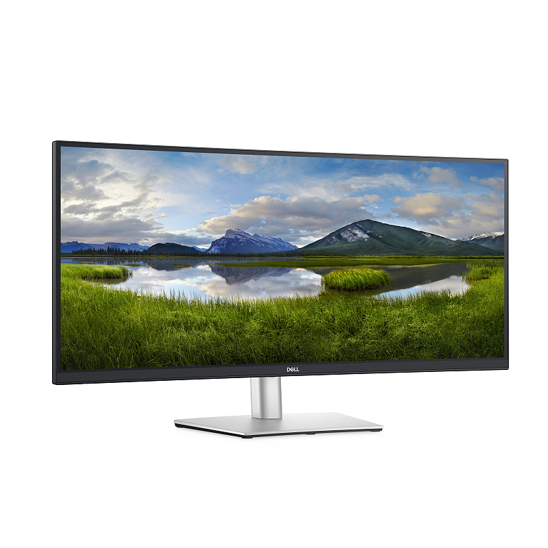 DELL P Series Geschwungener 34-USB-C-Monitor – P3421W