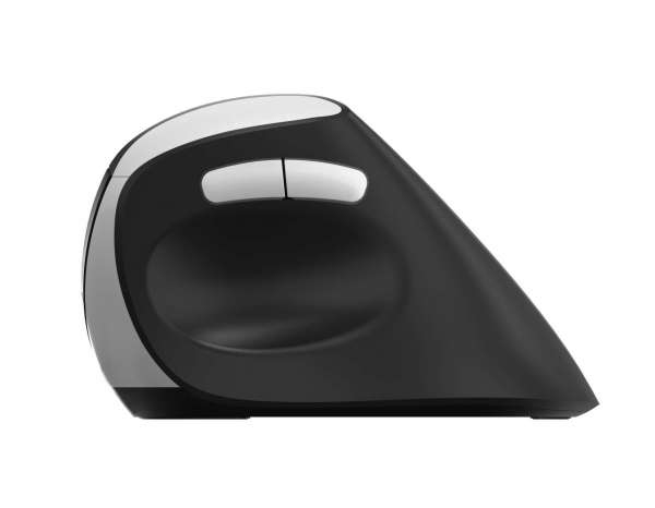 Rapoo EV250 Maus Büro rechts RF Wireless Optisch 1600 DPI