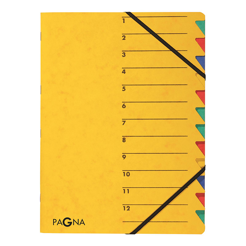 Pagna Ordnungsmappe Easy 12 Fächer