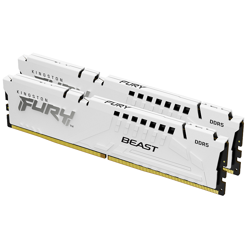 Kingston Technology FURY Beast 64GB 5600MT/s DDR5 CL36 DIMM (2er-Kit) White EXPO