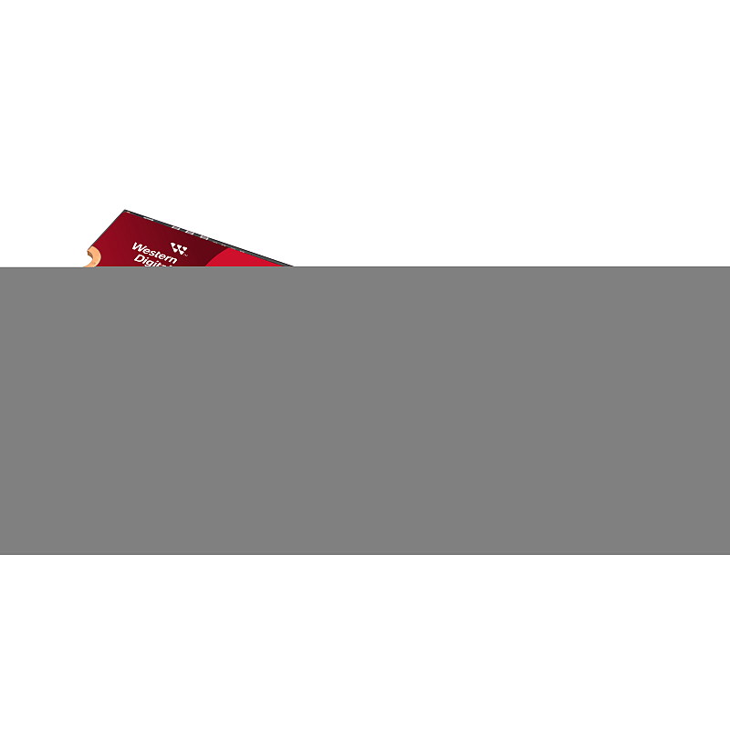 SanDisk Red WD SN700 NVMe 4 TB M.2 PCI Express 3.0