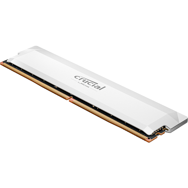 Crucial Pro CP16G60C36U5W Speichermodul 16 GB 1 x 16 GB DDR5 288-pin DIMM