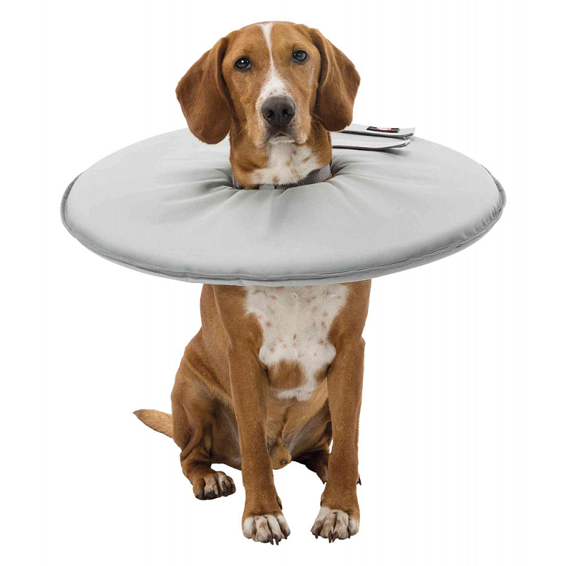 TRIXIE 19422 Hunde- /Katzenhalsband Grau Schaum, Polyester Hund Halfter