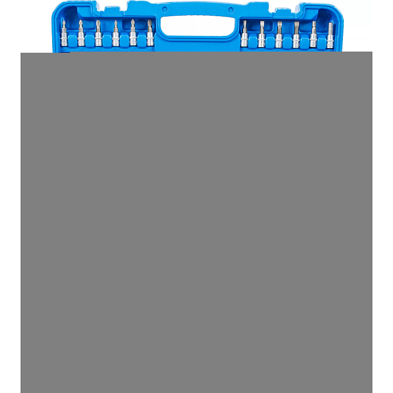 BGS technic Socket Set Gear Lock