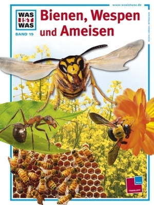 9783788602598 Buch Wissenschaftliche Literatur Deutsch Hardcover 48 Seiten