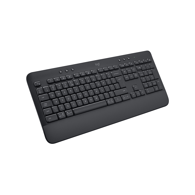 Logitech 920-010949 Tastatur Büro Bluetooth QWERTZ Ungarisch Graphit