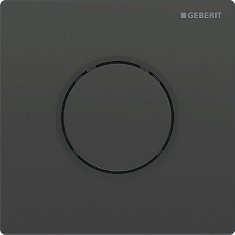 Geberit 116.015.DW.1 Ersatzteil für Toilettenspülung Spülplatte Schwarz