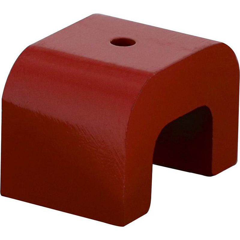 Fortis 4317784717823 Bastel-Magnet