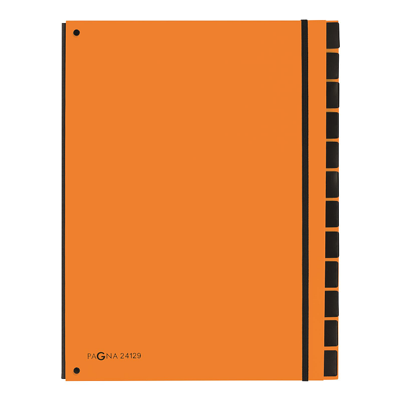 Pagna 24129-09 Schnellhefter Orange Karton, Polypropylen (PP) A4